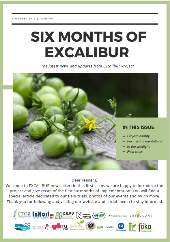 excalibur-newsletter-1