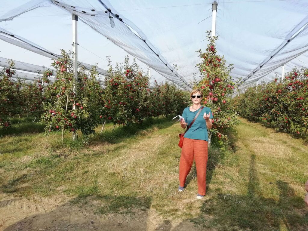 Visit to the apple trial at Rinova